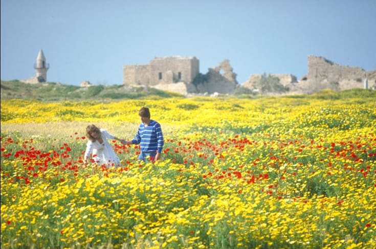 Classic Tours — Caesarea Roman aqueduct